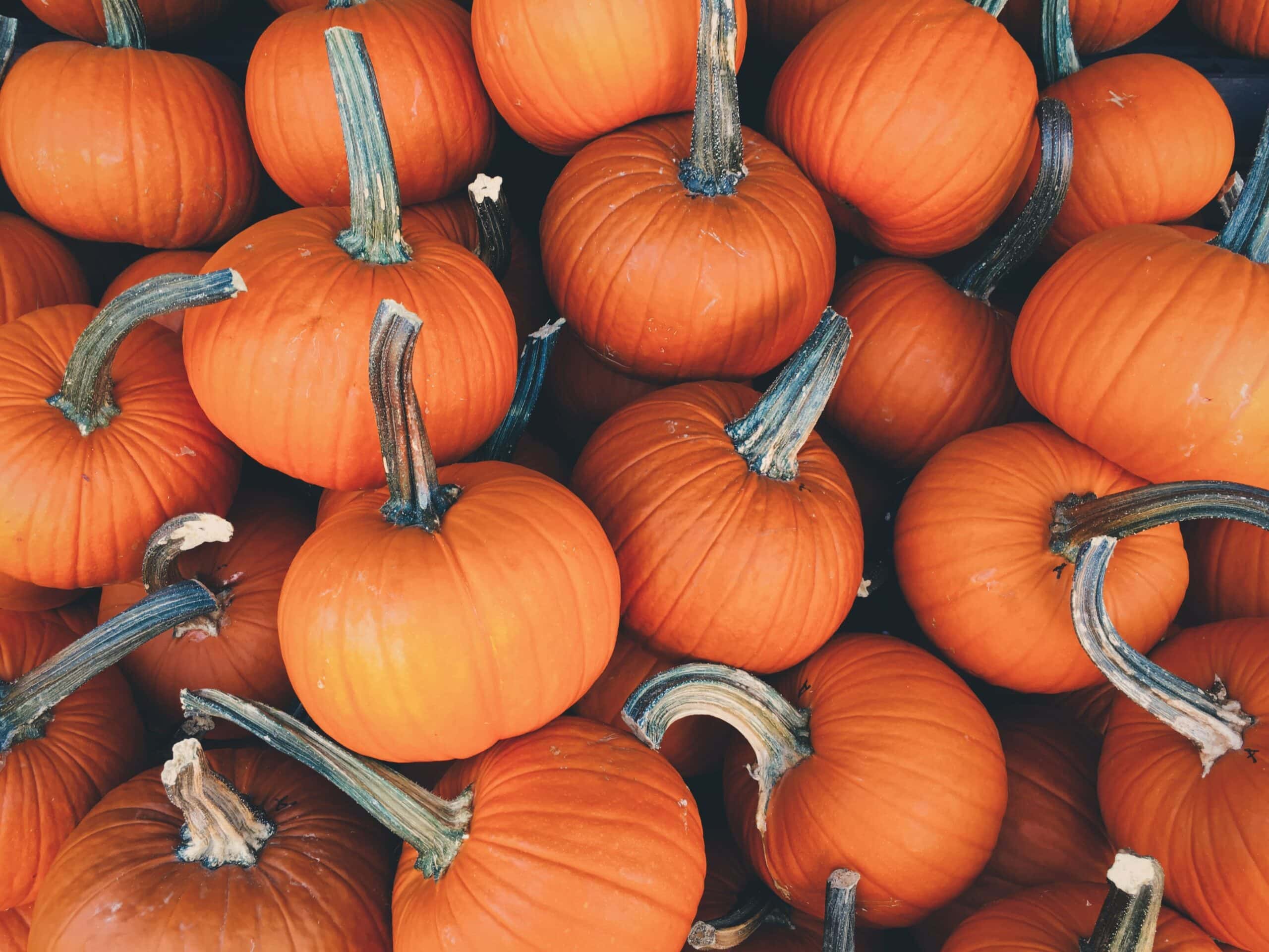 October Events in Sedona Alma de Sedona Inn