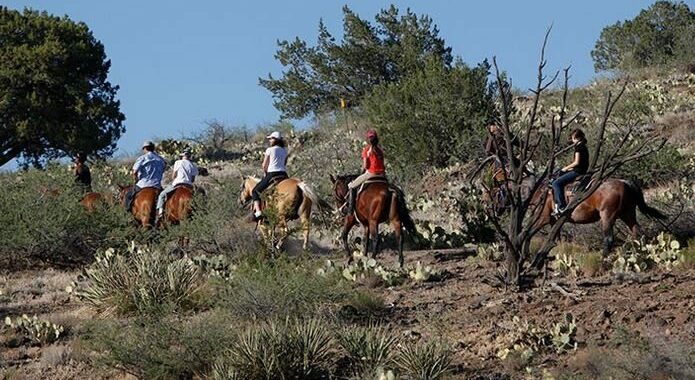 See Ranch Life of the West Up Close, Alma de Sedona Inn