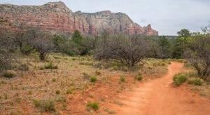 Hit the Trails and Hike the Sights of Arizona, Alma de Sedona Inn