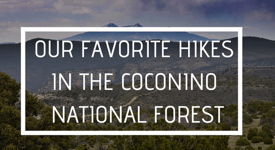 Our Favorite Hikes in the Coconino National Forest, Alma de Sedona Inn